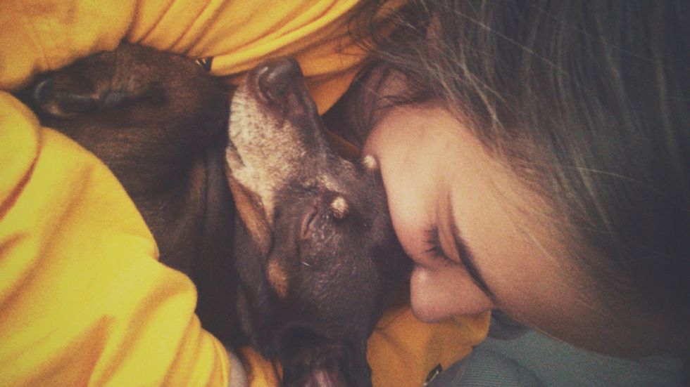 10 Reasons Dachshunds Are Scientifically Proven To Be The Best Kind Of Dogs