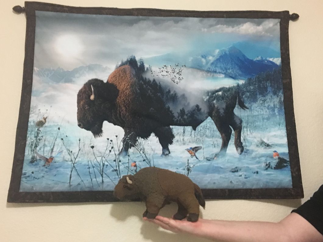 My Stuffed Buffalo Is My Prized Possession