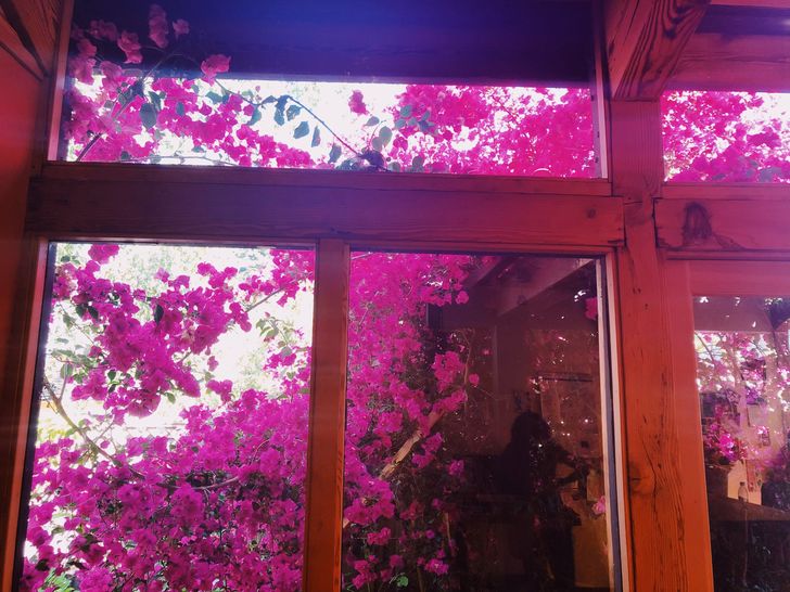 The Power of Gratitude