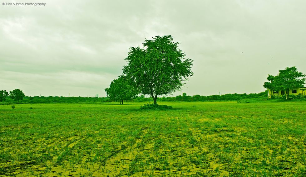 10 Easy Ways To Help Save The Environment Other Than Recycling