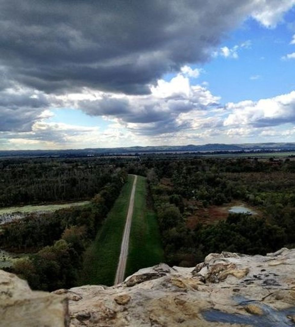 Look In Your Own Backyard