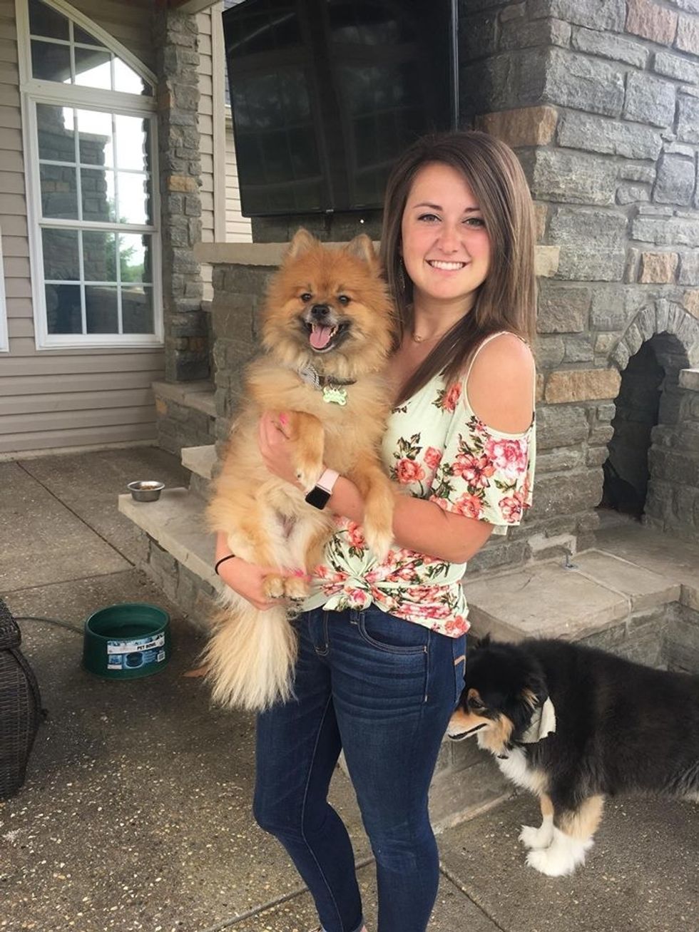 Before You Buy A Dog In College, Read This