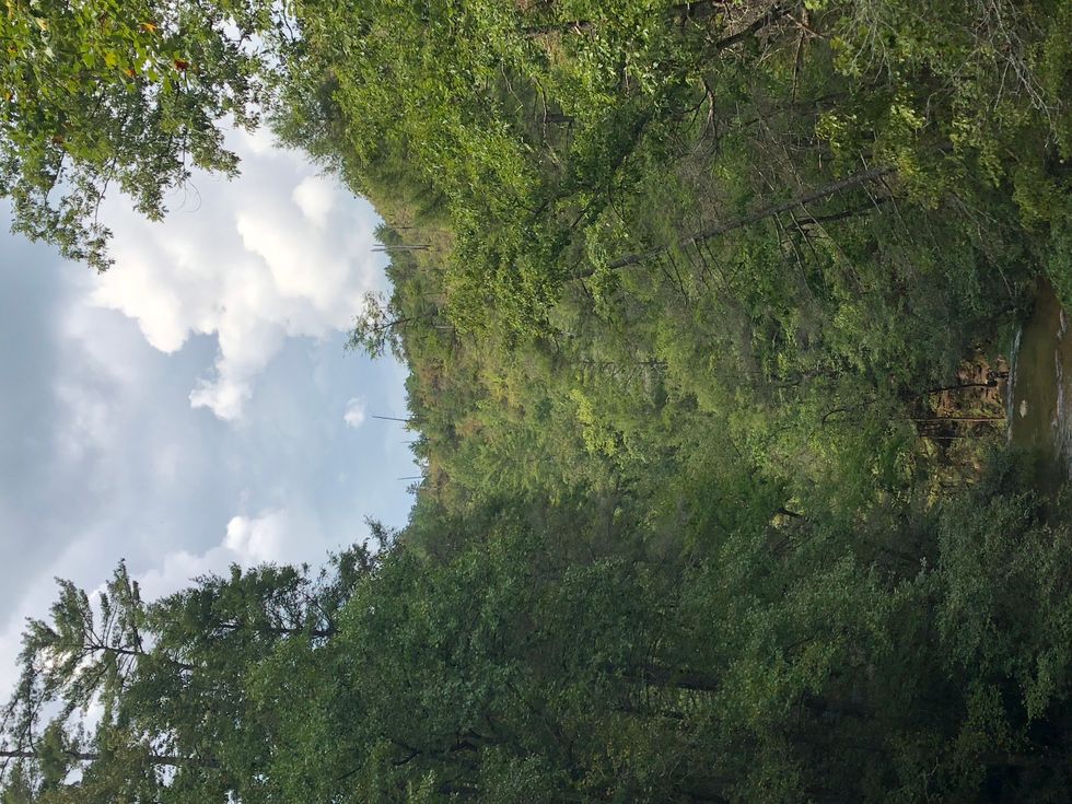 9 Things That Explain Ted Bundy's Behavior, But Do Not Excuse It