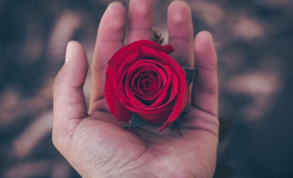 Short Stories On Odyssey: Adam And Belle