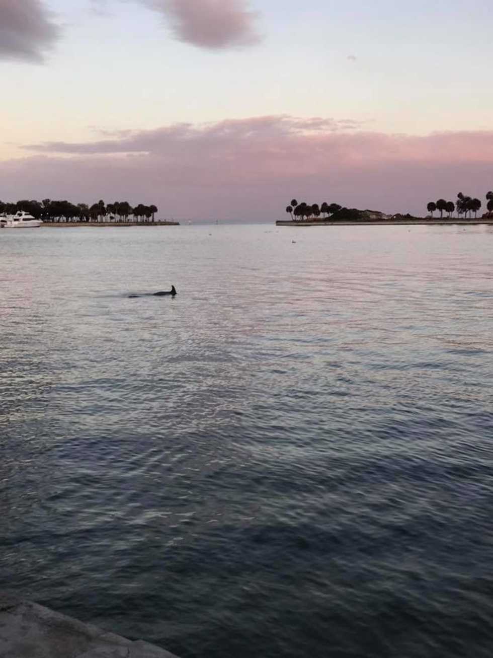 Caring for the Environment While Caring For Two Children: Progress and Possibilities