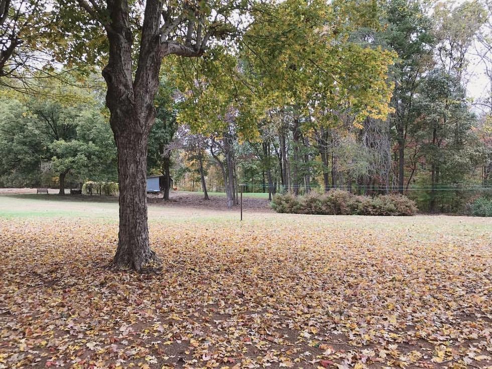 Managing Daily Stress, One Step at a Time