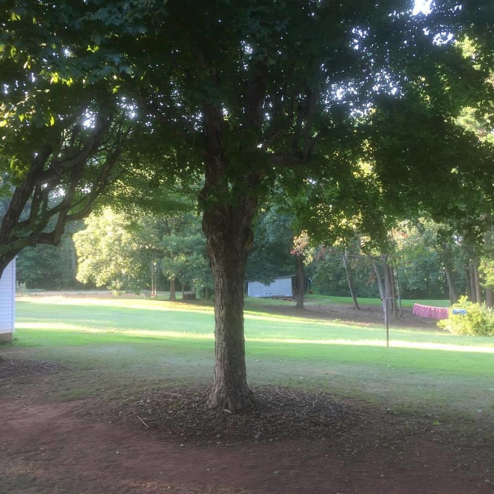 To Craft a Childhood: A Parent’s Unrelenting Duty