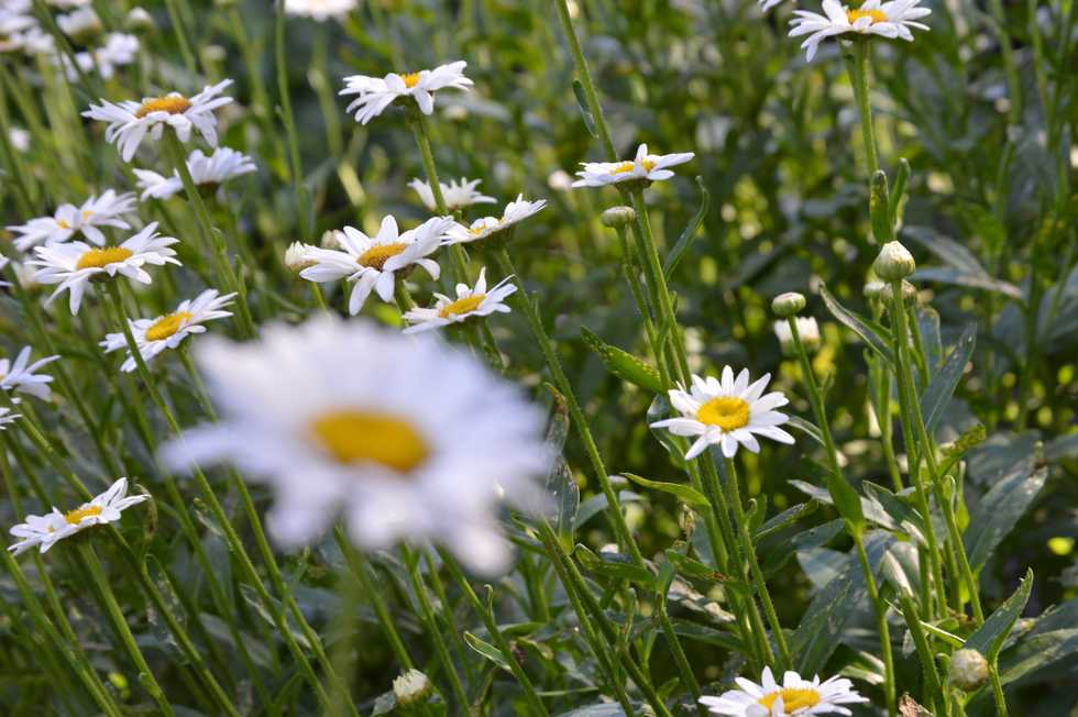 "I need to be good at something, or I don't know who I am", an open letter.