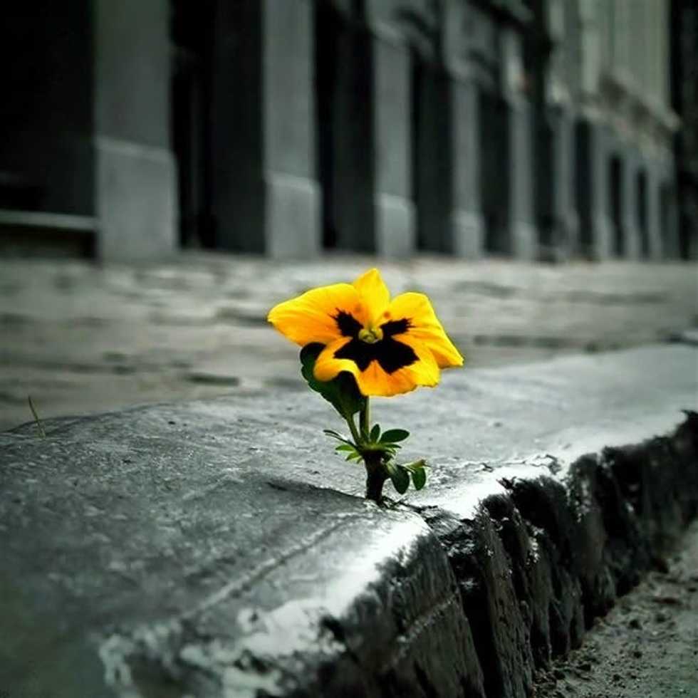 This is for anyone that's been told to "get over it"