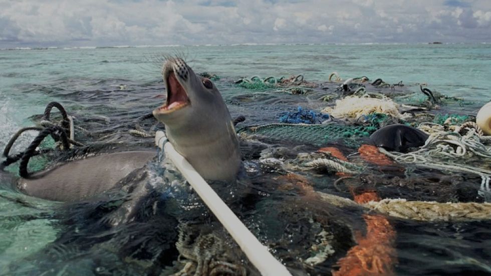To The People Of The World, Plastic Is Killing Our World Each Straw At A Time