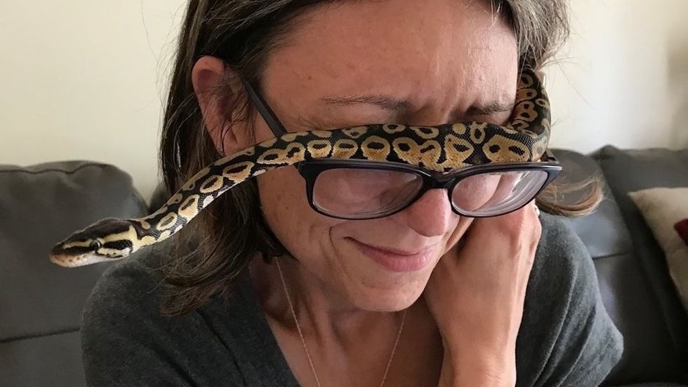 Yes, I Have A Pet Snake And No, I Am Not Crazy