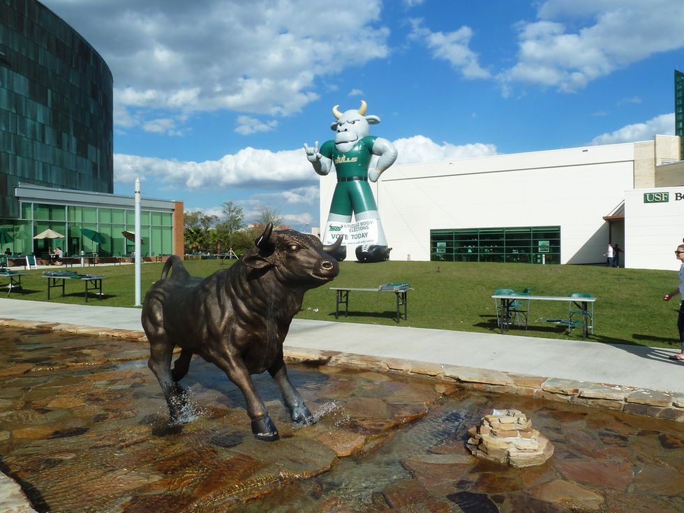 Why You Should Attend The University of South Florida