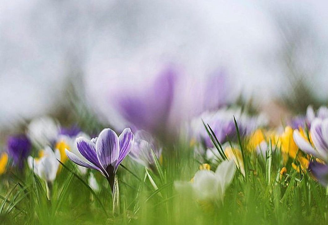 10 Fun Spring Break Ideas