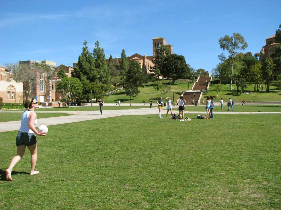 In Honor Of Black History Month, Please Tell Me Why There Are So Few Black Students On My Campus