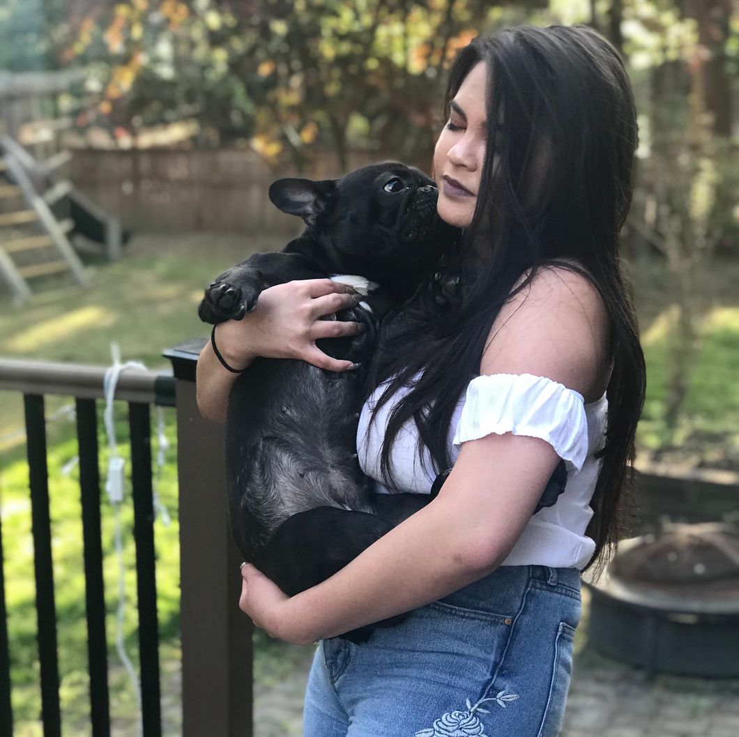 19 Reasons French Bulldogs Are Scientifically Proven To Be The Best Kind Of Dogs