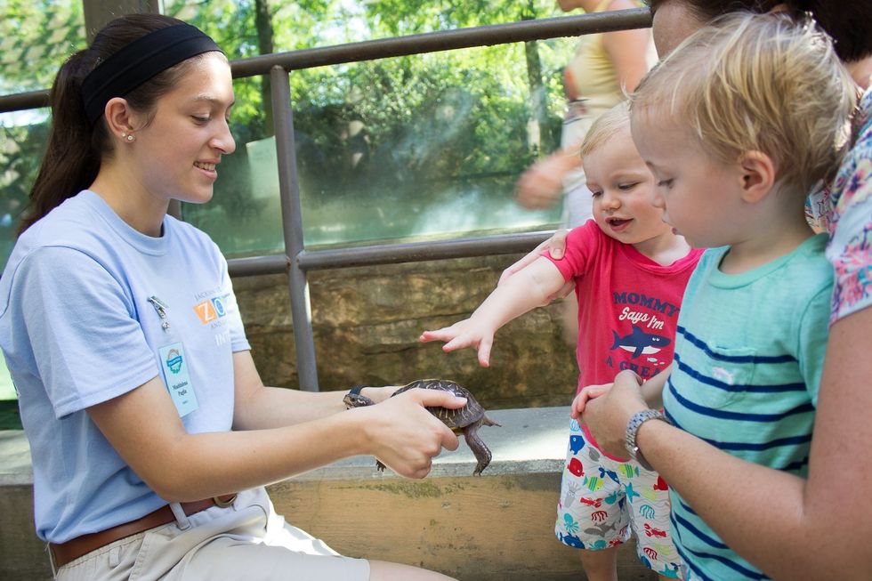 Education In The Wild: Zoos Can Be An Important Resource For School Children