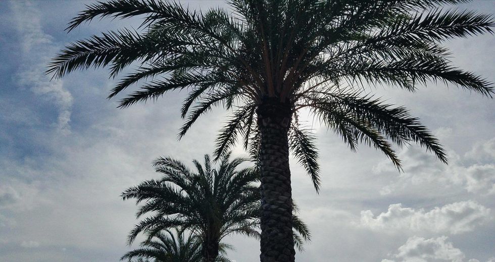 Mid-Winter Blues Are A Reality Almost Anywhere, Even In Alabama