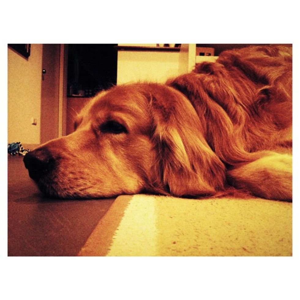 10 Things To Do When You're At Home, Bored