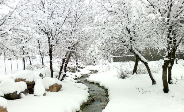 7 Things You Can Do During A Snow Day