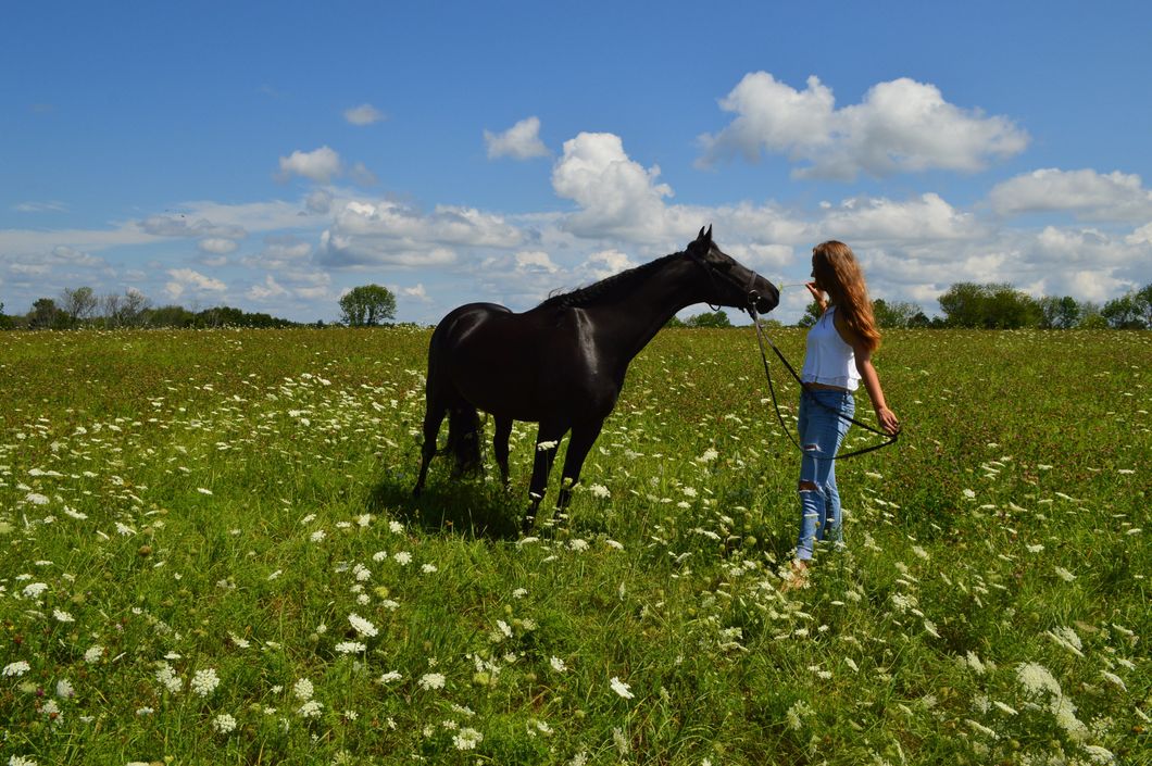 Be Your Own Life Coach