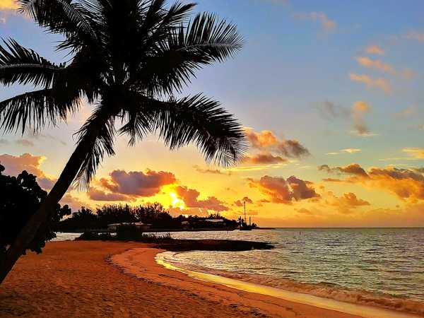 From Sunset To Sunrise On The Way To Graduation: Part 2