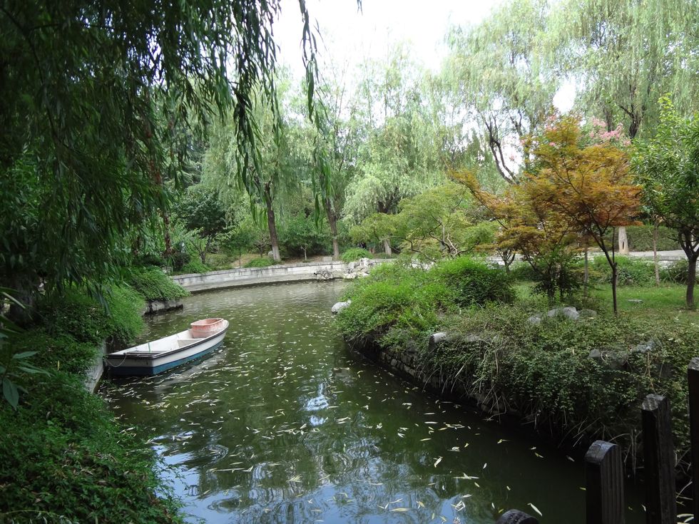 6 Chinese Idioms And Proverbs That Will Help You Gain Some Knowledge And Make You Rethink Life