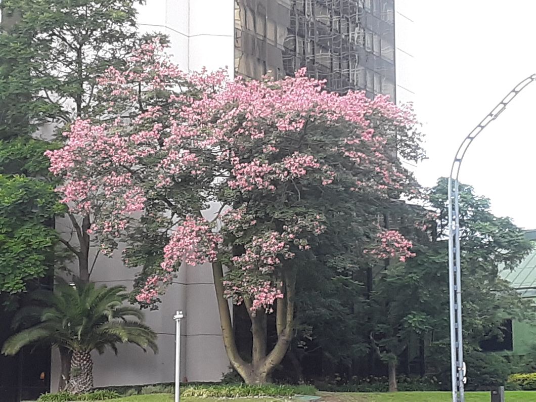 Adjusting To Another Hemisphere And Really Learning To Embrace New Horizons