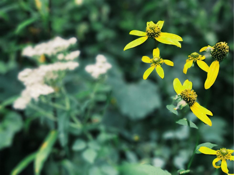 Don't Tell Me You Love Me If You Don't Mean It.