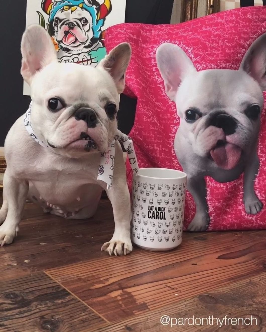 10 Reasons PardonThyFrench Is, Pardon MY French, The Best Damn Instagram Account In Existence