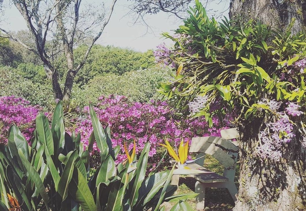 A Culture Outside Your Own