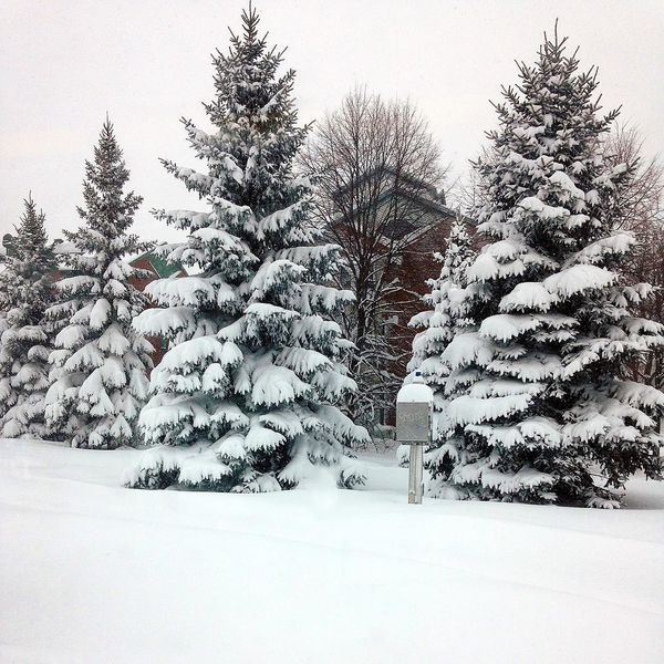 6 Ways To Take Advantage Of Your Snow Day