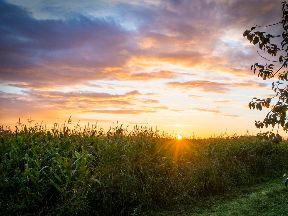 10 Things That Only Iowans Understand