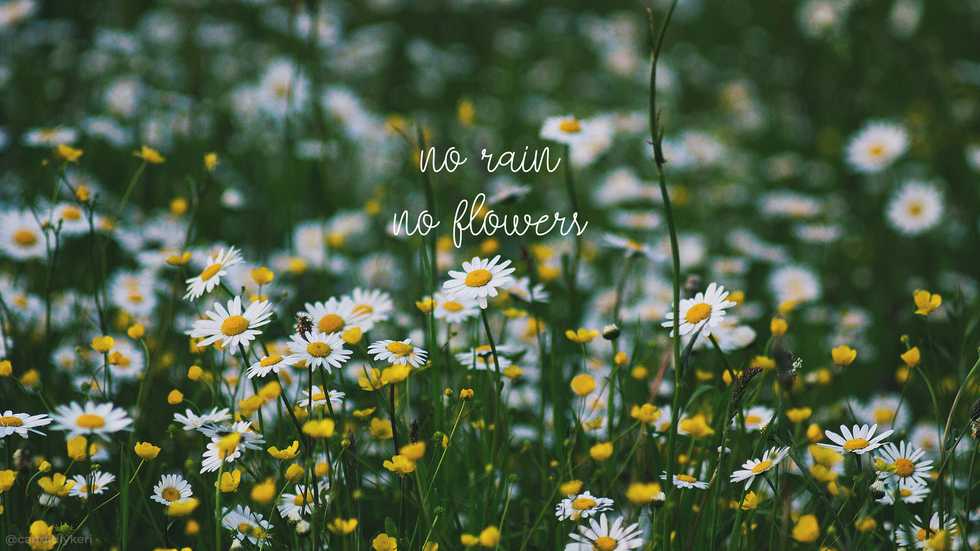 What Does It Truly Mean To Be Vulnerable?