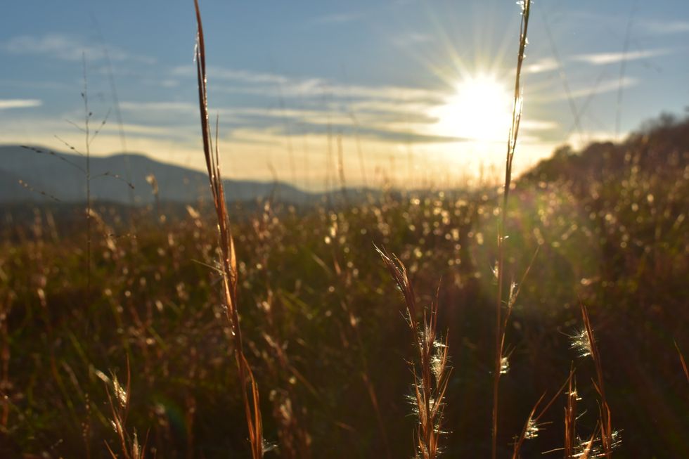 A Short Story: A Man Named Jehoshaphat