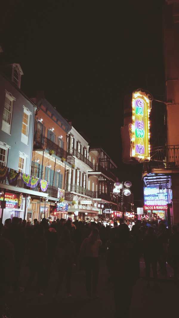 7 Moments To Sum Up My Mardi Gras