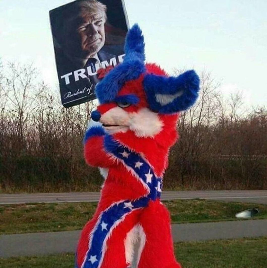 9 Different Types Of Right-Wing People In 2019