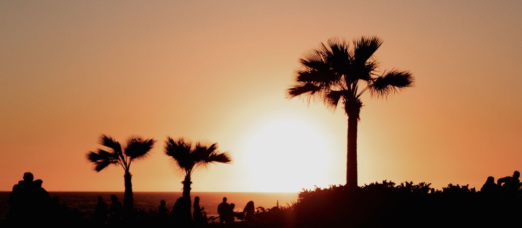 A Friendly Chat About The Sunshine