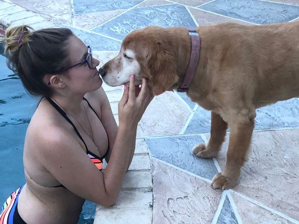 9 Golden Retrievers Who Accurately Describe Your Post-Spring Break Feels