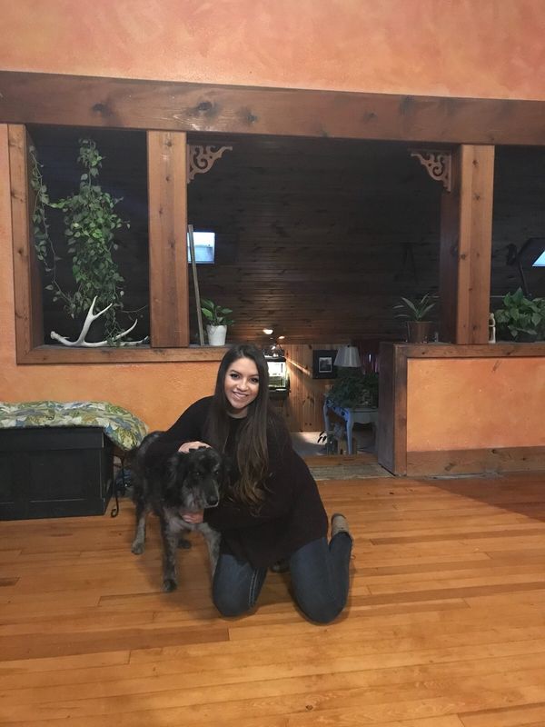 5 Reasons EVERYONE Needs A Puppy STAT