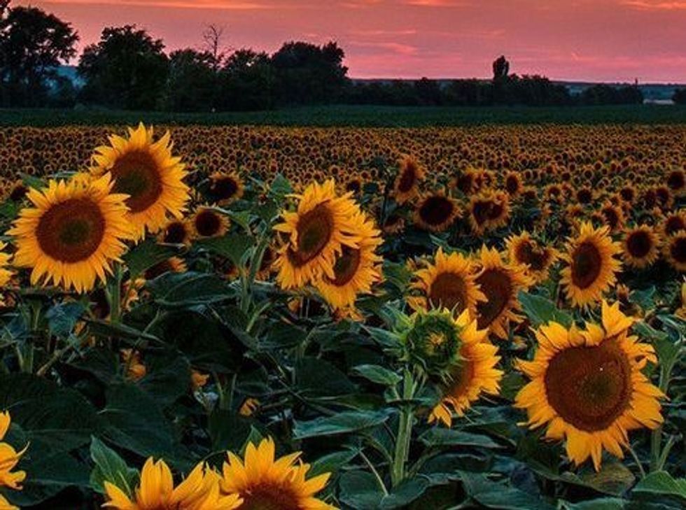 An Open Letter To Anyone Who Is Suffering From A Mental Illness