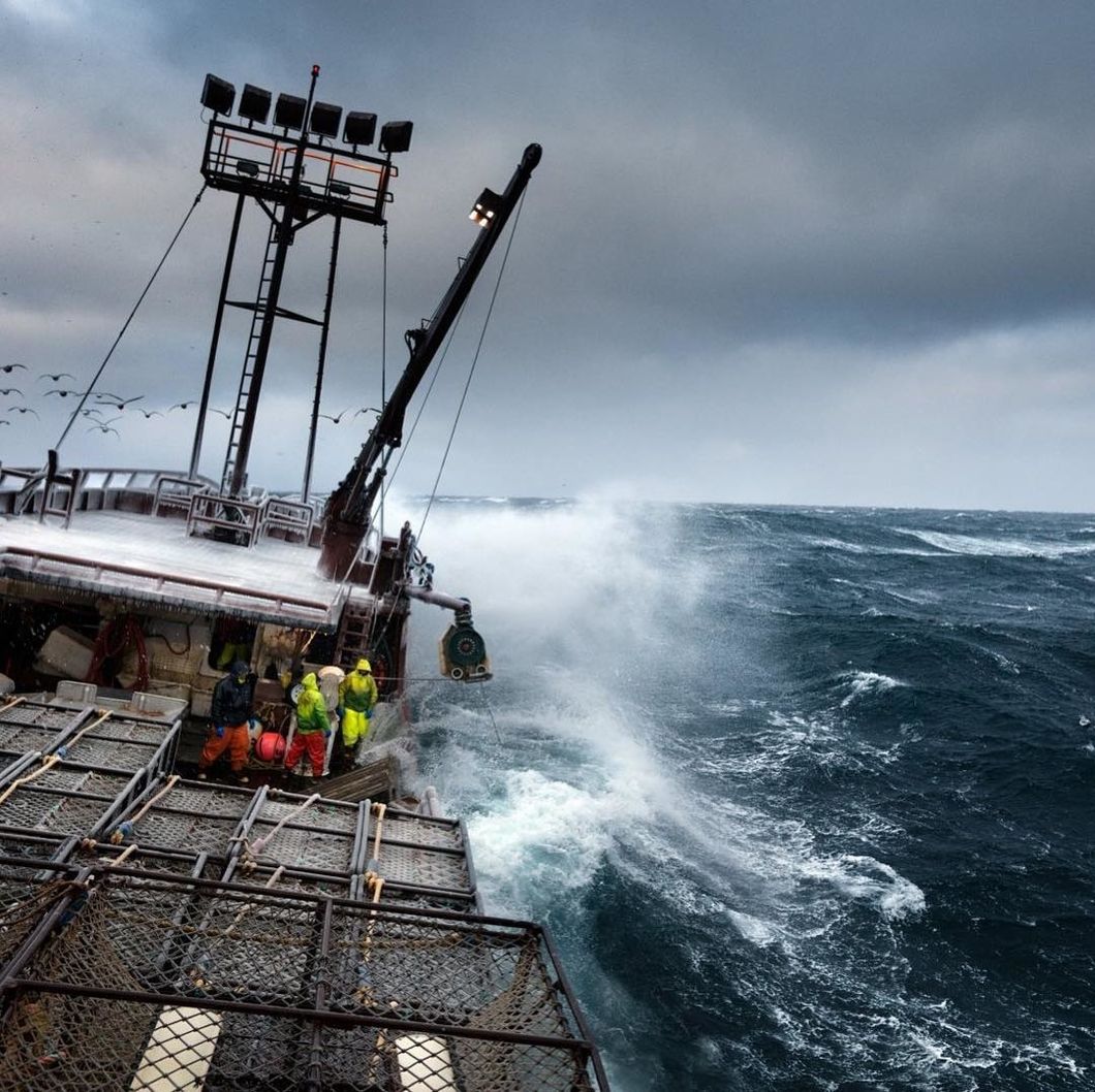 More Than Half Of The Tuna Species Is Facing Extinction, But Over-Fishing Has Become Too Profitable To Stop