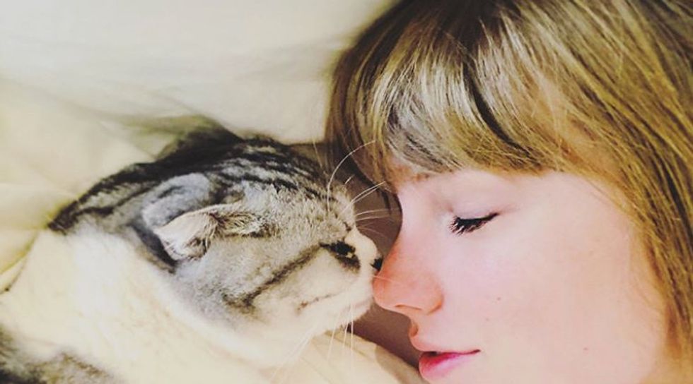 10 Reasons Dating The Girl Who Loves Cats MORE Than You Is 100 Percent Worth It