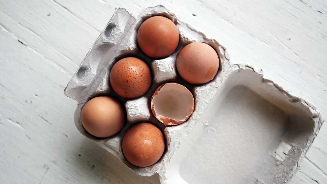 Eat Your Protein, Your Body Needs It For Hunger To Be Satisfied