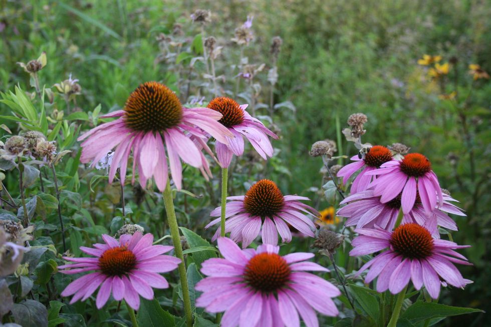 To the Guy that Thought it Would be Easy to Love Me