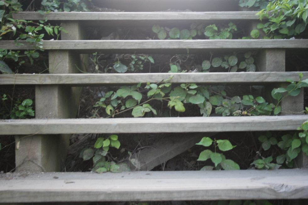 Here's to loving you