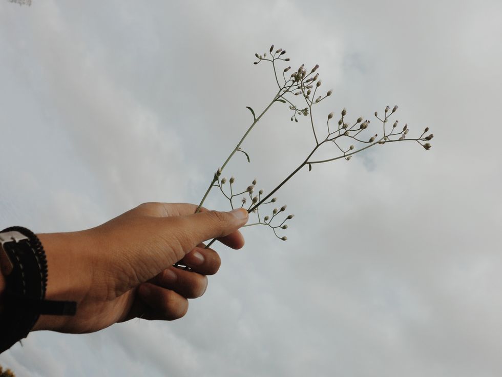 Minimalism Addresses Our Culture Of Consumption