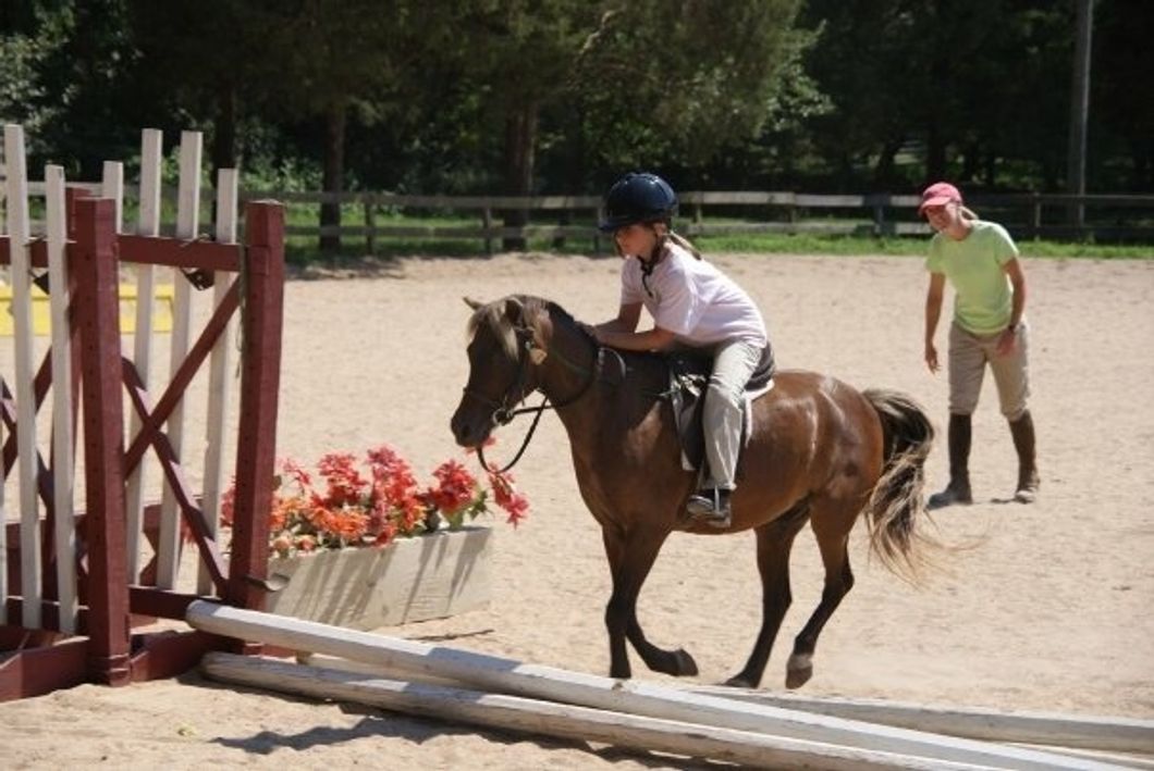To The First School Pony I Ever Rode, And Still Love