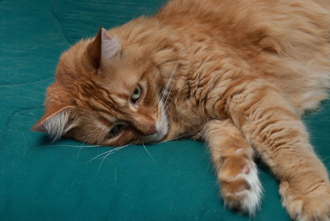 9 Things To Do If You Have Absolutely Nothing Planned For Spring Break