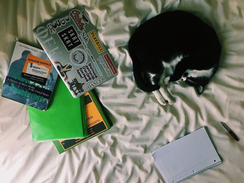 To The College Student Graduating Without A Job Offer, Rejection Is Part Of The Process