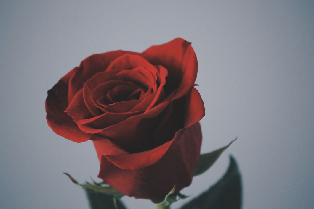 A Summary Of Every Season Of The Bachelor As Told By Memes